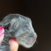 Yumiko, 1 day