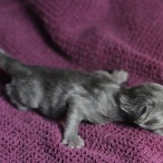 Yumiko, 1 day
