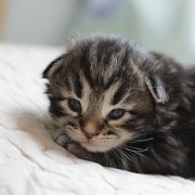 Yukin, 2 weeks
