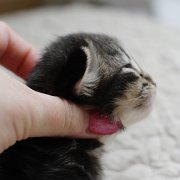 Yukin, 2 weeks