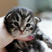 Yukin, 2 weeks