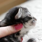 Yuma, 2 weeks