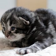 Yuma, 2 weeks