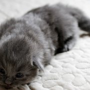 Yumiko, 2 weeks