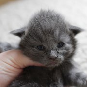 Yumiko, 2 weeks