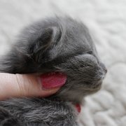 Yumiko, 2 weeks