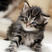 Yukin, 4 weeks