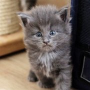 Yumiko, 4 weeks