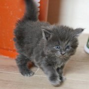 Yumiko, 4 weeks