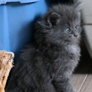 Yumiko, 5 weeks
