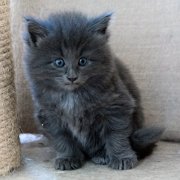 Yumiko, 5 weeks