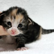 Alicia, 2 weeks and 3 days