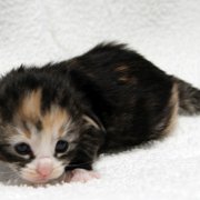 Alicia, 2 weeks and 3 days