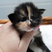 Amelia, 2 weeks and 3 days
