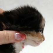 Amelia, 2 weeks and 3 days