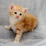 Agent Smith, 4 weeks and 2 days