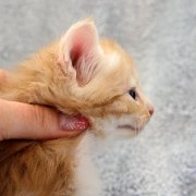 Agent Smith, 4 weeks and 2 days