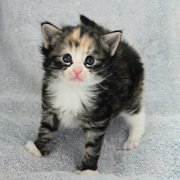 Alicia, 4 weeks and 2 days