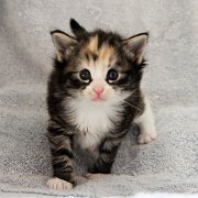 Alicia, 4 weeks and 2 days