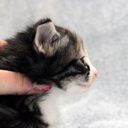 Alicia, 4 weeks and 2 days