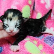 Alicia, 5 days