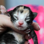 Alicia, 5 days