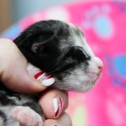 Alicia, 5 days