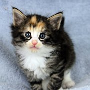 Alicia, 5 weeks and 5 days