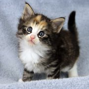 Alicia, 5 weeks and 5 days