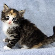 Alicia, 5 weeks and 5 days