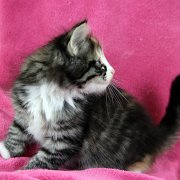 Alicia, 8 weeks