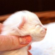 Arctica, 6 days