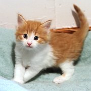 Amon Rha, 5 weeks and 4 days 
