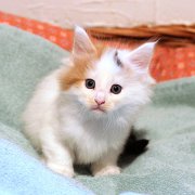 Athena, 5 weeks and 4 days 