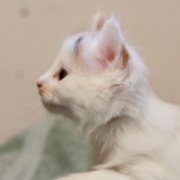 Athena, 5 weeks and 4 days 