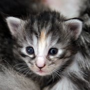Arabella, 3 weeks