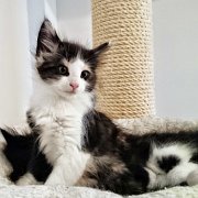 Aviva, 9 weeks