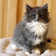 Ashby, 9 weeks