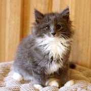 Ashby, 9 weeks