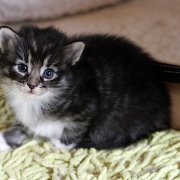Alabama Monroe, 3 weeks