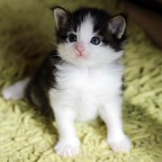 Alvaro, 3 weeks