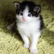 Alvaro, 3 weeks