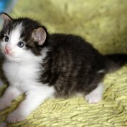 Alvaro, 3 weeks