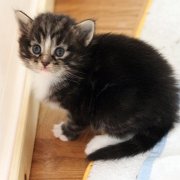 Amina, 3 weeks