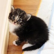 Amina, 3 weeks