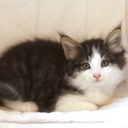 Alvaro, 7 weeks