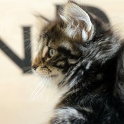 Amina, 7 weeks