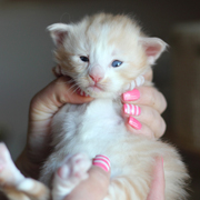 Boggart Humphrey, 3 weeks