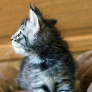 Butch Cassidy, 6 weeks