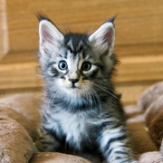Butch Cassidy, 6 weeks